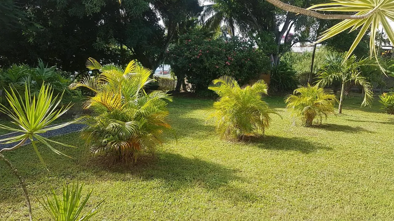 Pensee Creole Sainte-Rose