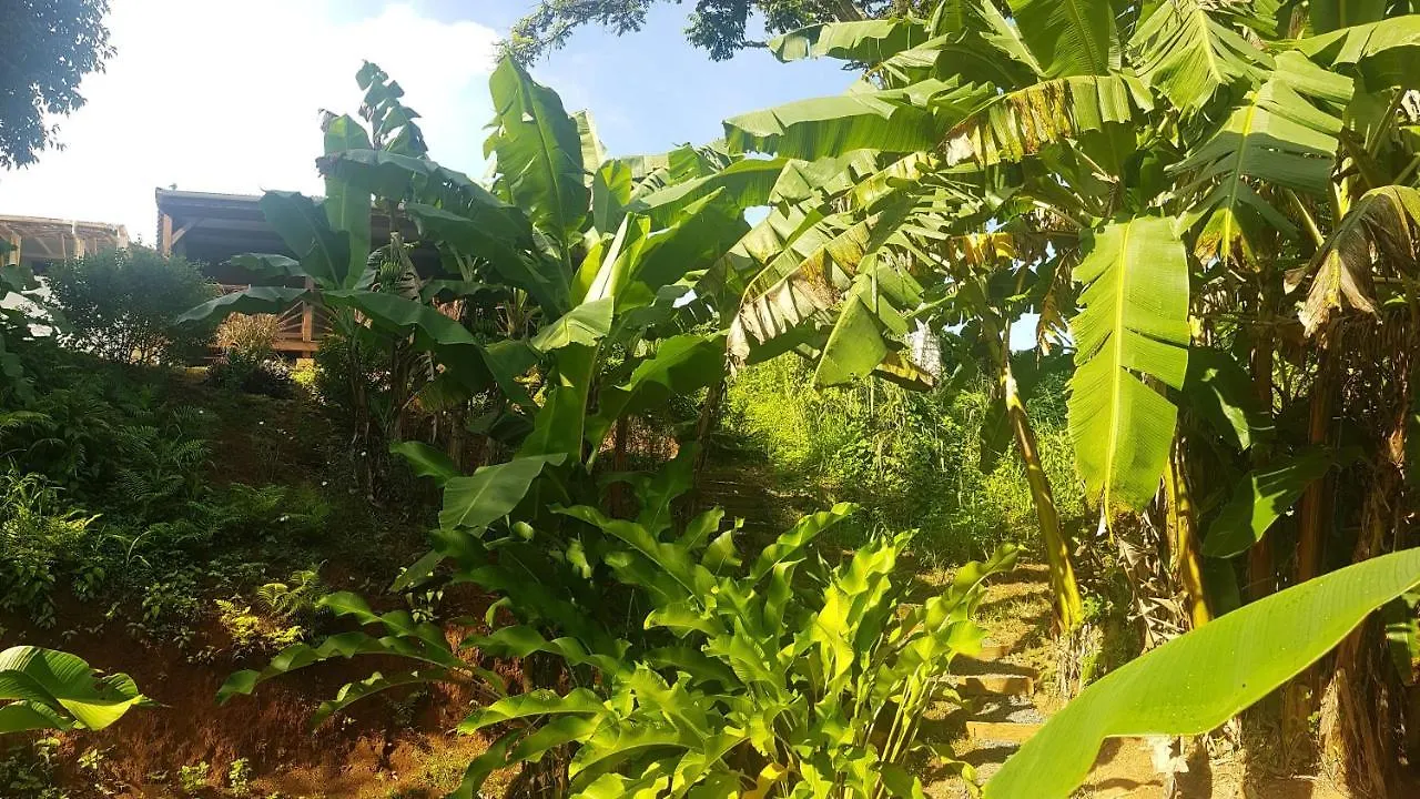 Lodge Pensee Creole Sainte-Rose